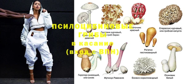 дживик Арсеньев