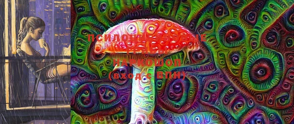 дживик Арсеньев