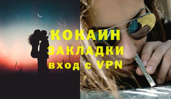 индика Наволоки